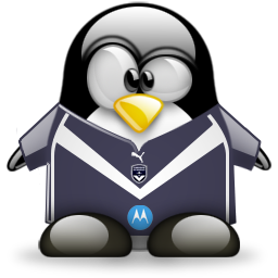 penguin pingouin pinguino 751
